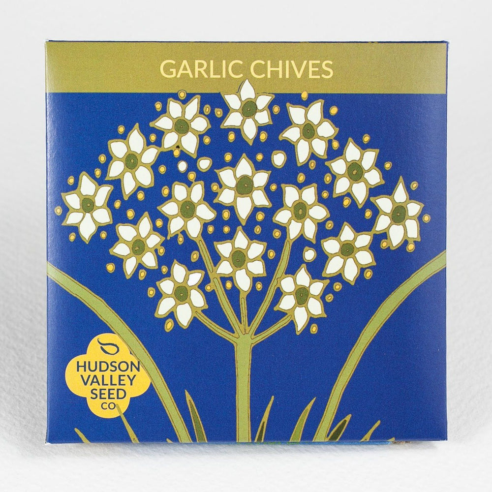 Garlic Chives vendor-unknown