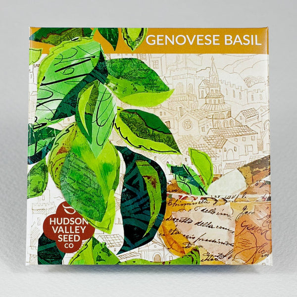 Genovese Basil vendor-unknown