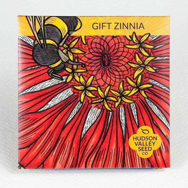 Gift Zinnia vendor-unknown