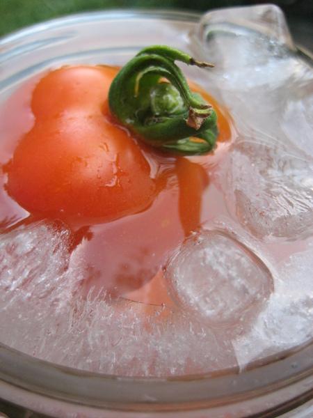 Glacier Tomato vendor-unknown