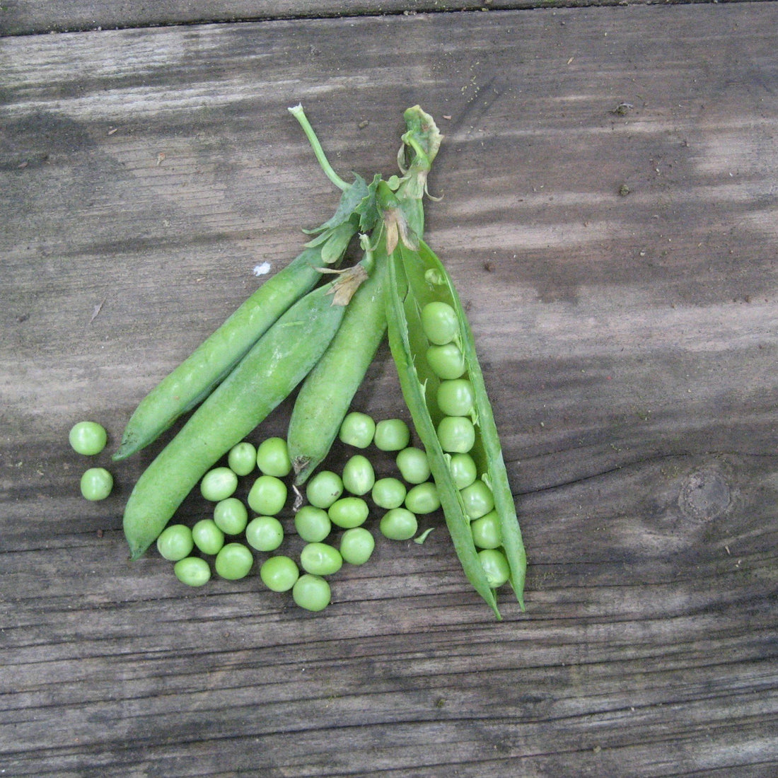 Green Arrow Shell Pea vendor-unknown