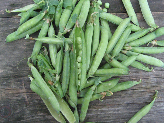 Green Arrow Shell Pea vendor-unknown