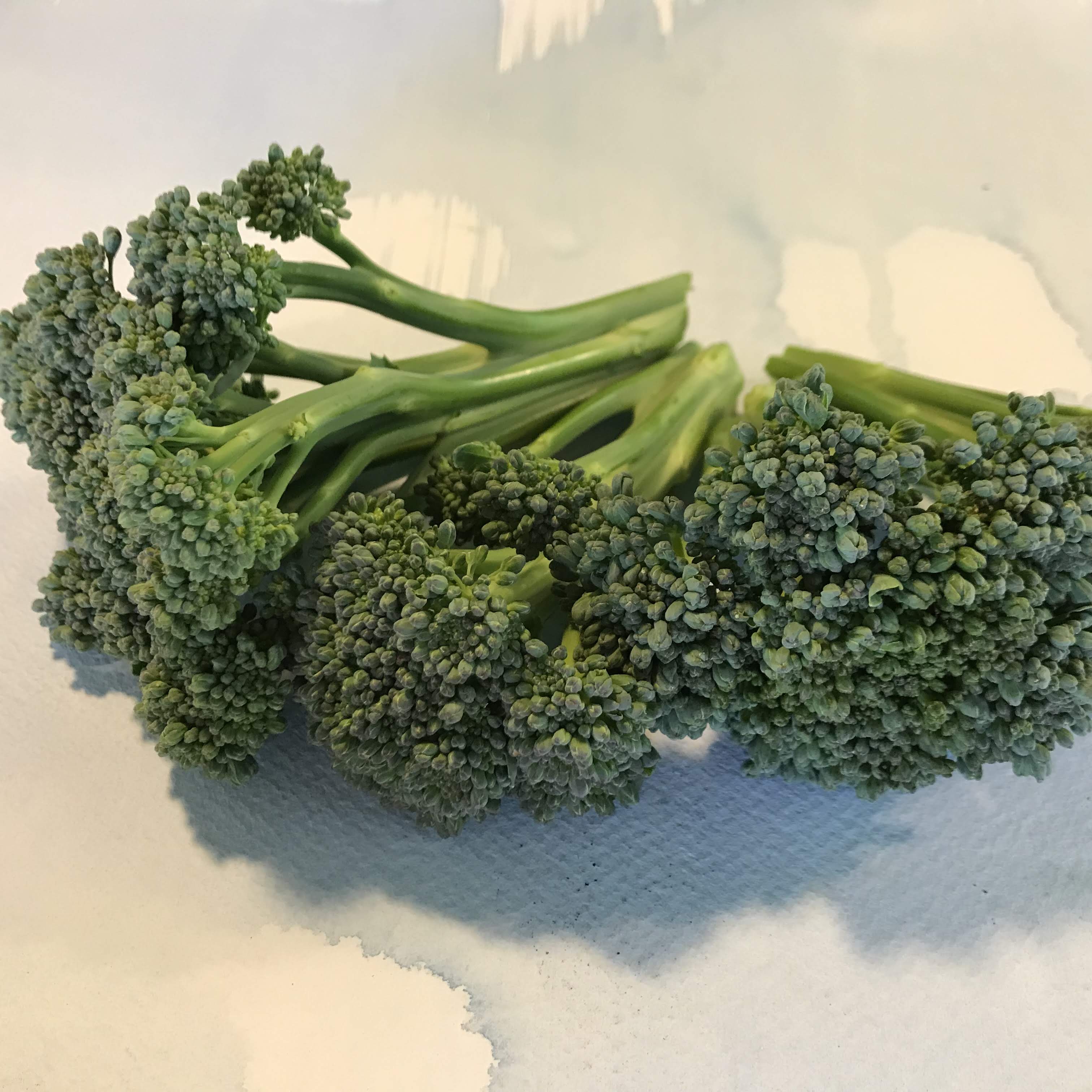 Green Sprouting Calabrese Broccoli