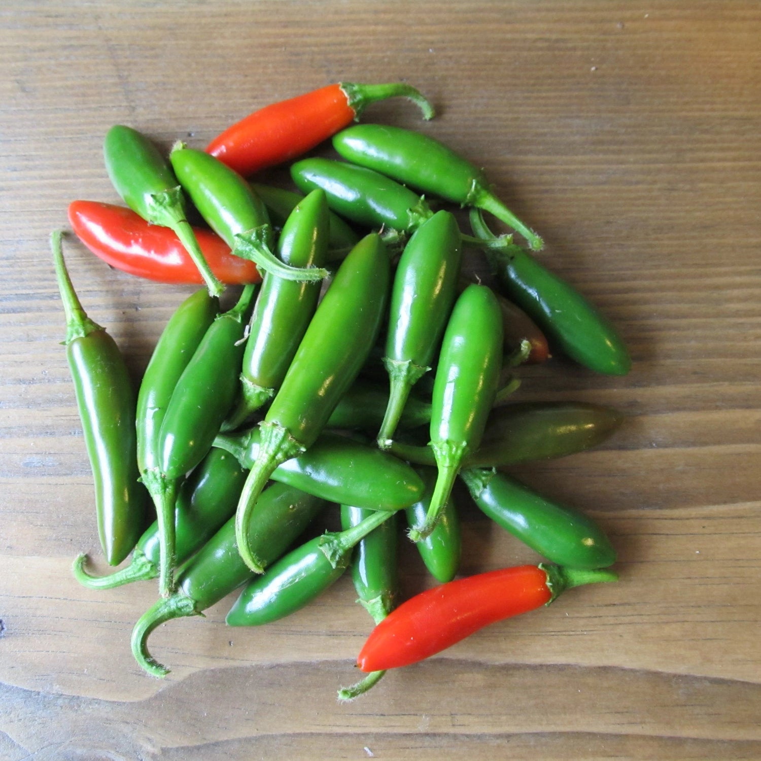 Hidalgo Serrano Hot Pepper vendor-unknown