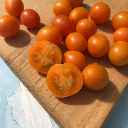 Honey Drop Cherry Tomato vendor-unknown