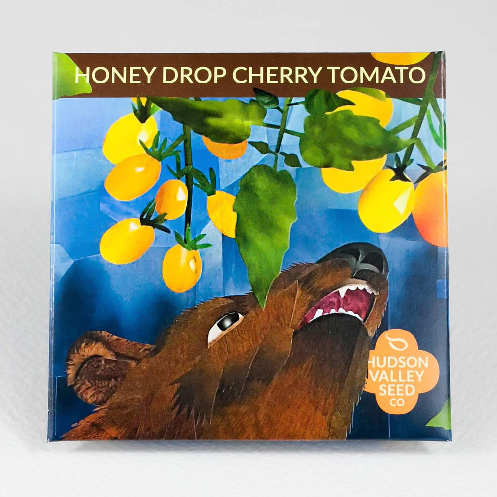 Honey Drop Cherry Tomato vendor-unknown