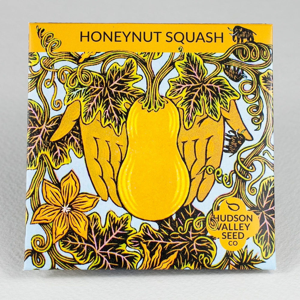 Honeynut Squash vendor-unknown