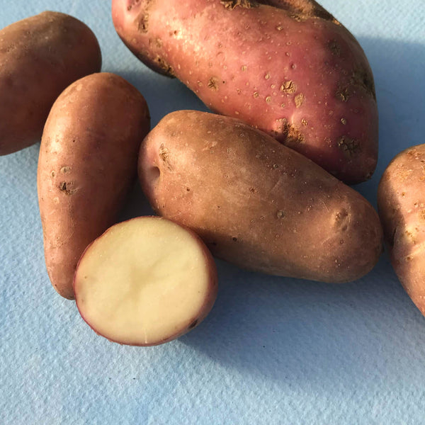 French Fingerling Potato
