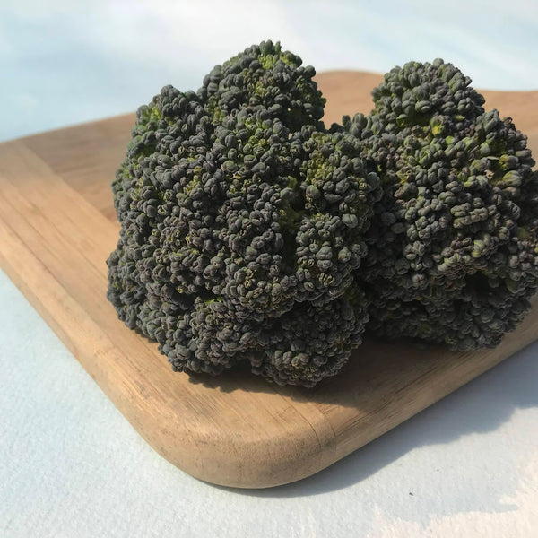 Solstice Broccoli