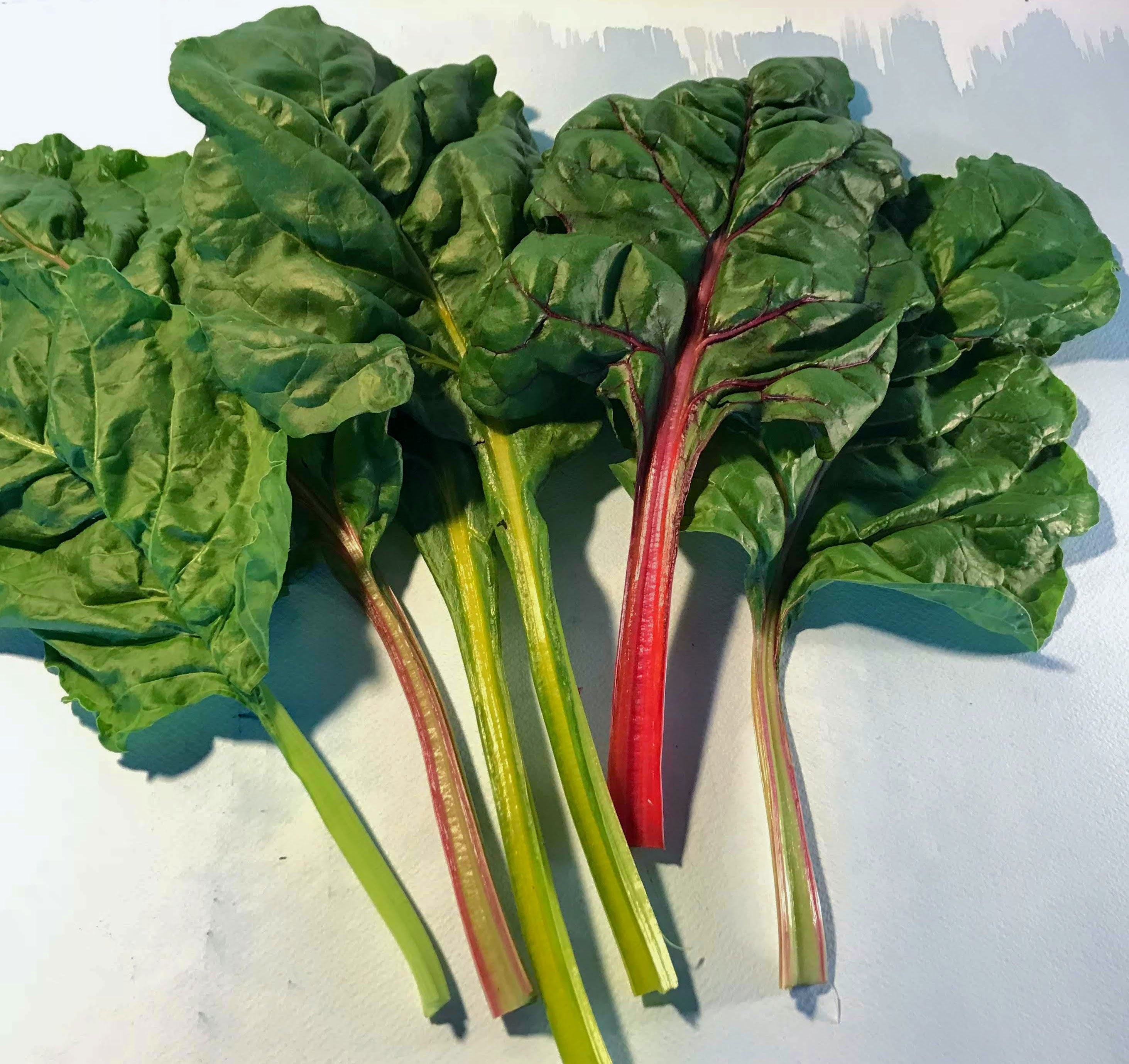 Rainbow Chard