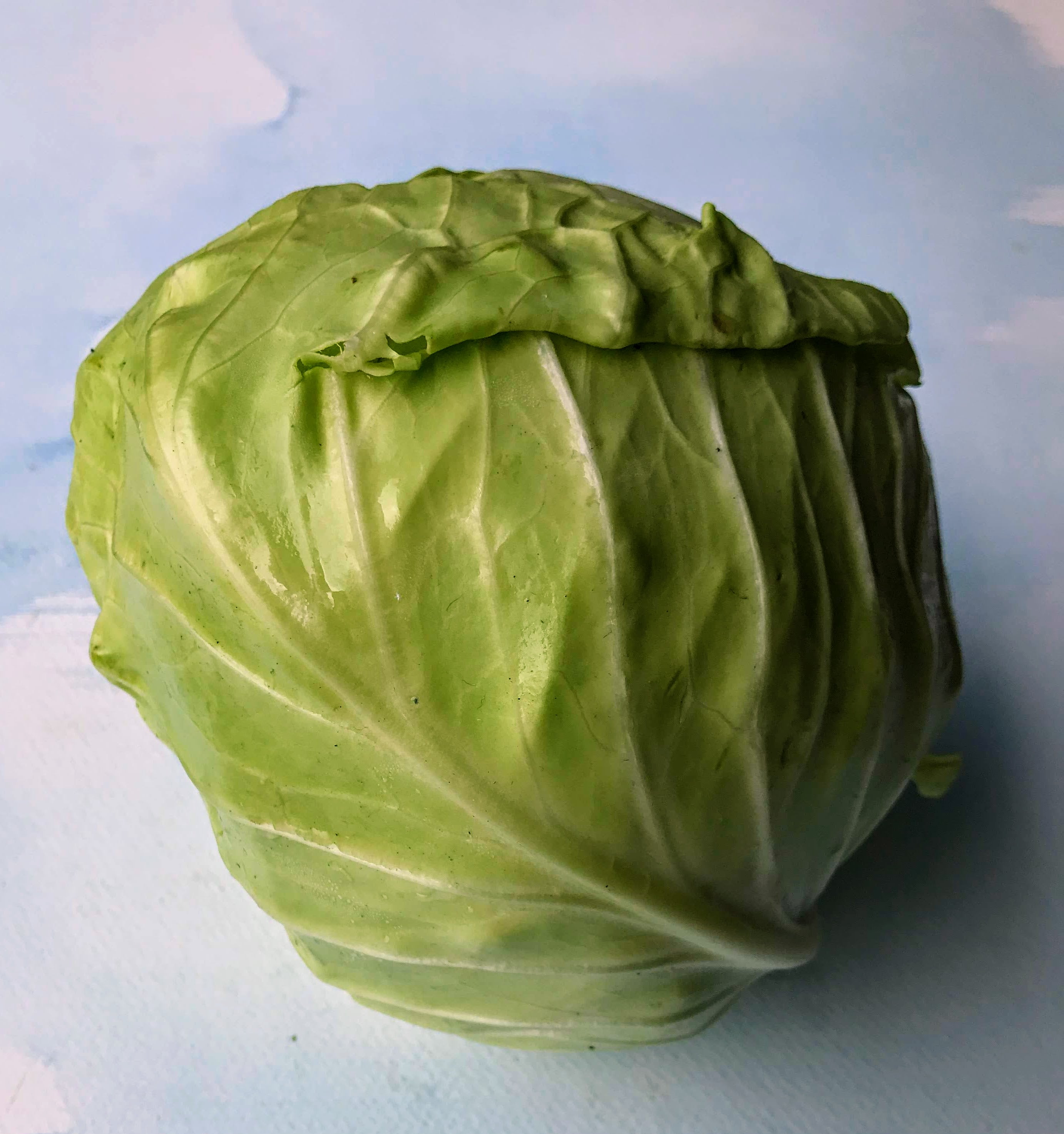 Danish Ballhead Cabbage