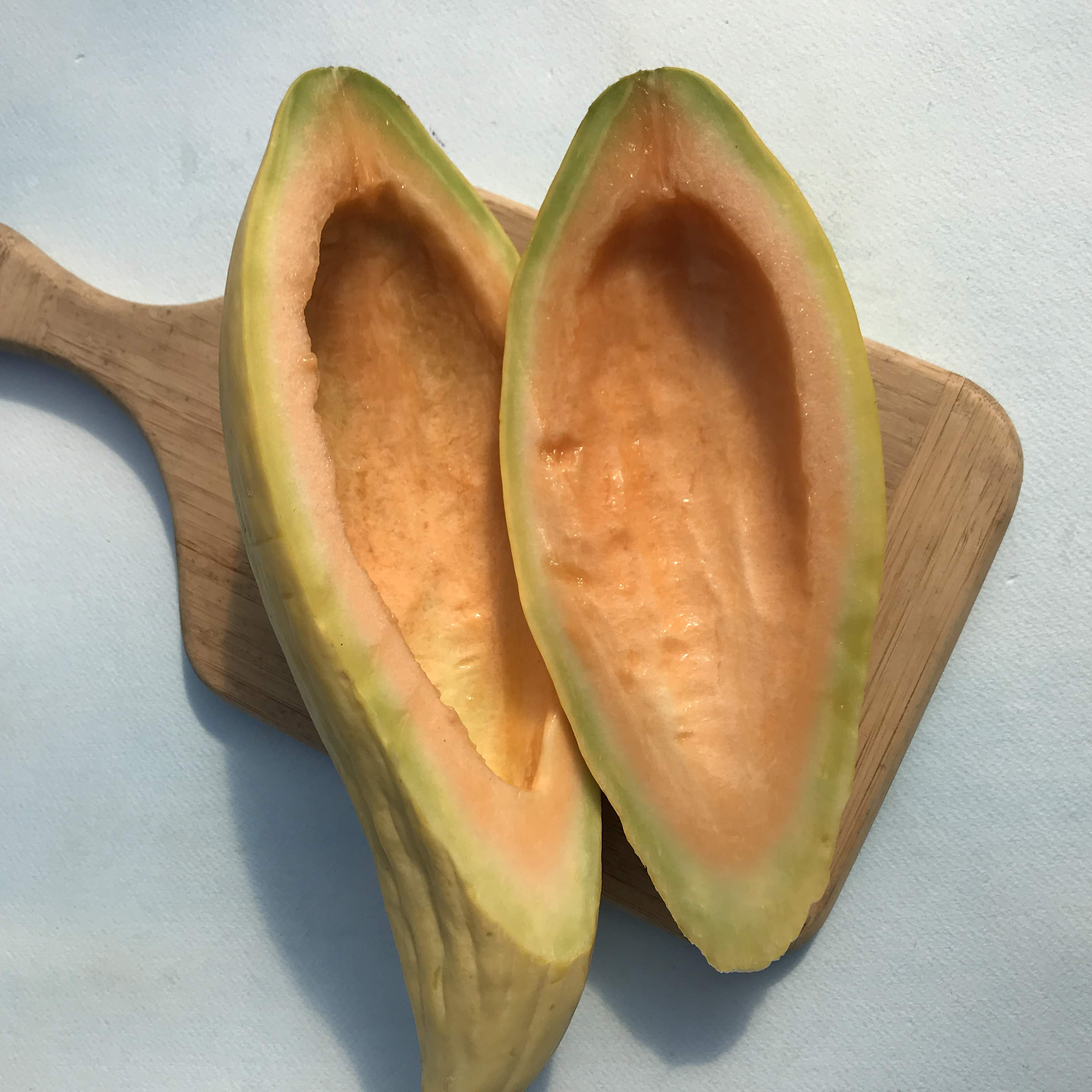 Banana Melon Seedlings