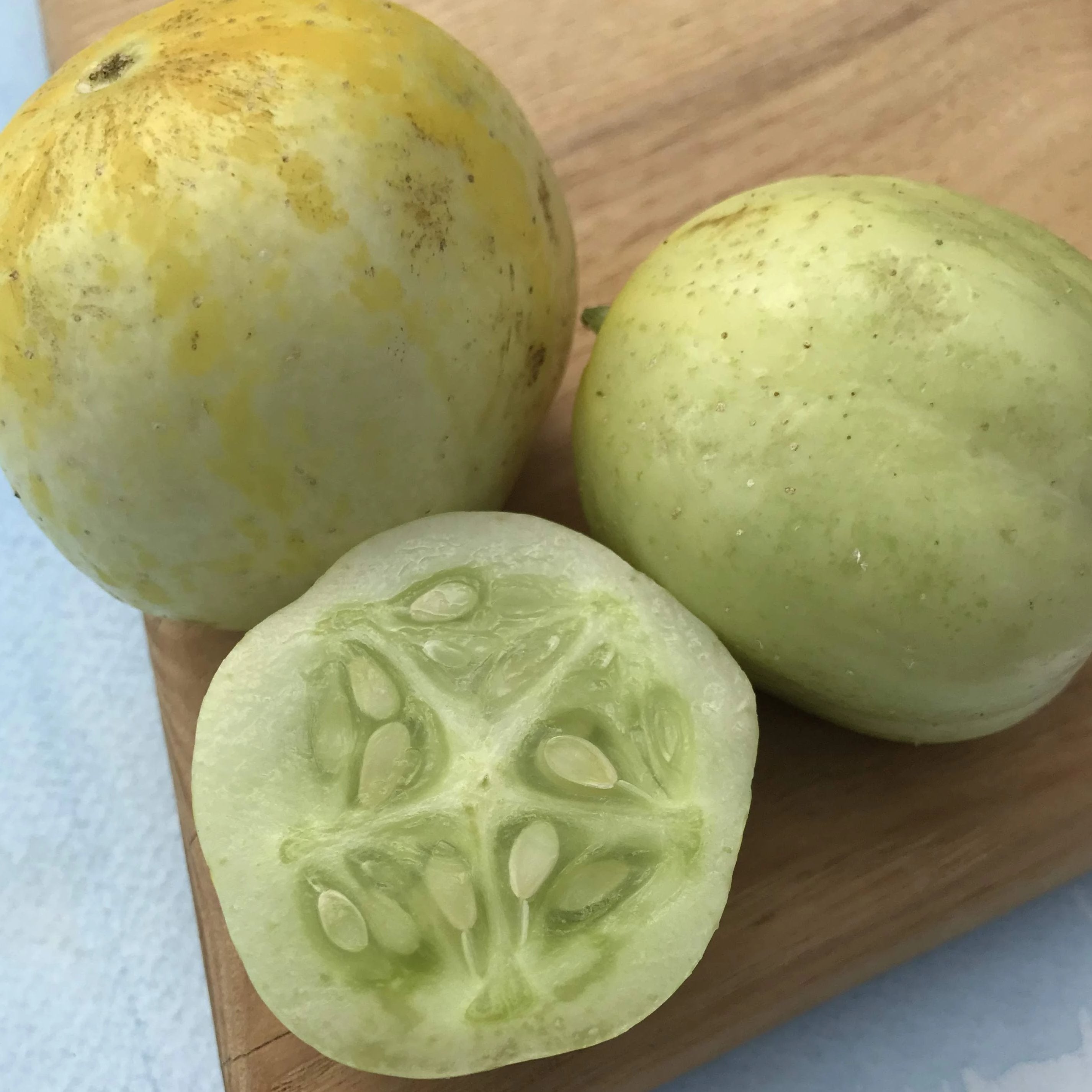 Lemon Cucumber Seedlings