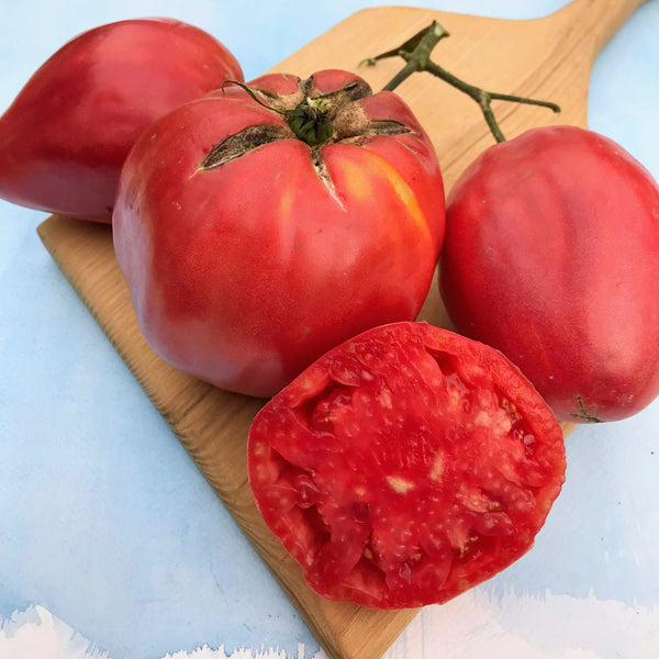 Upstate Oxheart Tomato