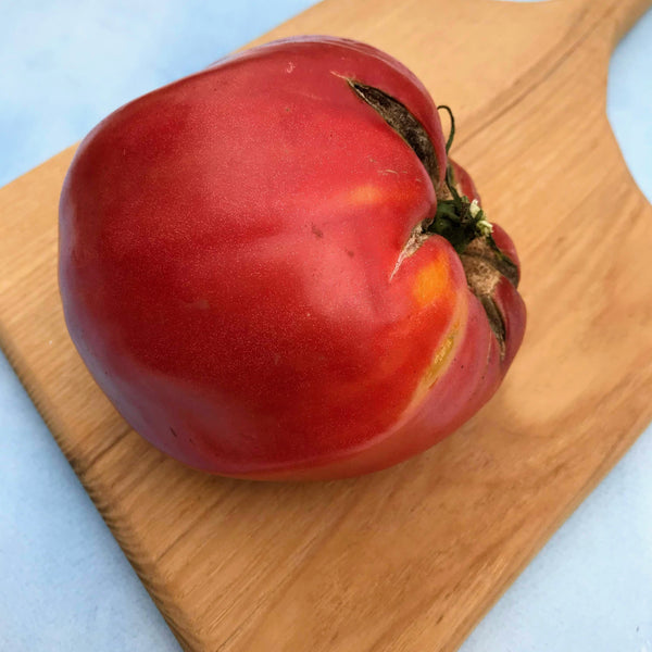 Upstate Oxheart Tomato