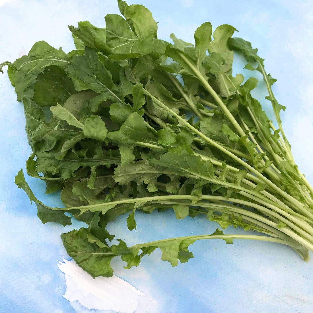 Arugula