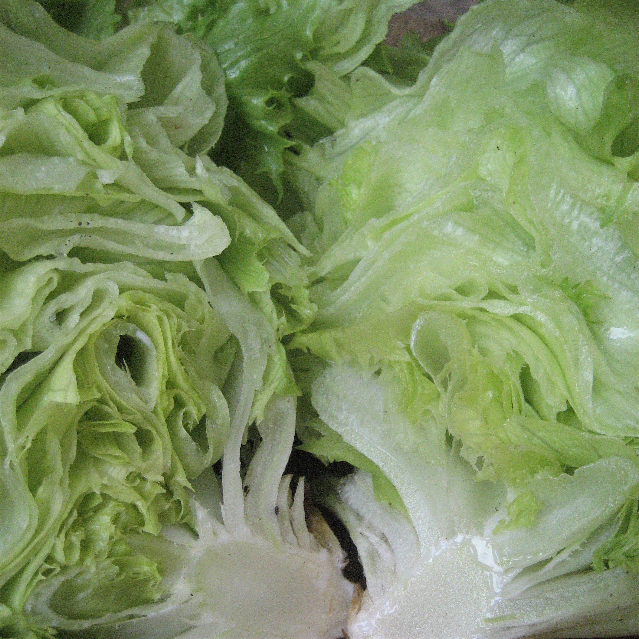 Ithaca Lettuce vendor-unknown