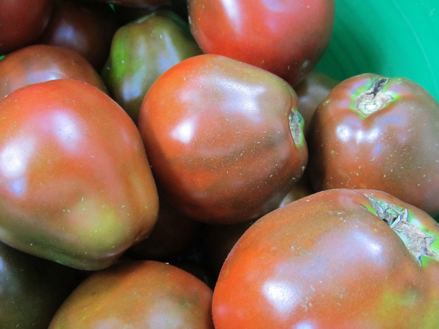 Japanese Black Trifele Tomato vendor-unknown