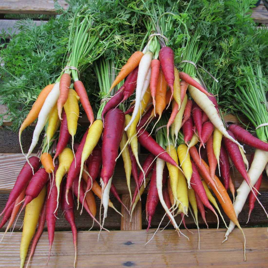 Kaleidoscope Carrots