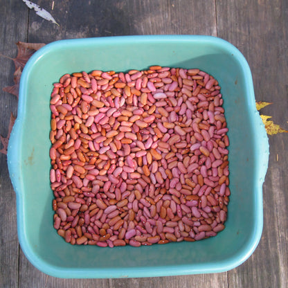 Light Red Kidney Bean vendor-unknown