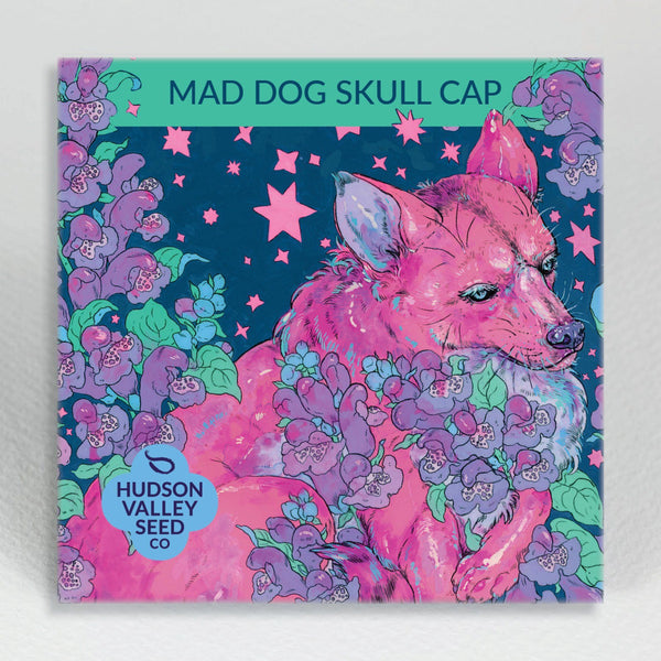 Mad Dog Skullcap vendor-unknown