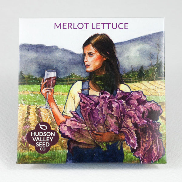 Merlot Lettuce vendor-unknown