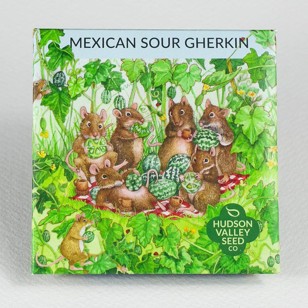 Mexican Sour Gherkin vendor-unknown