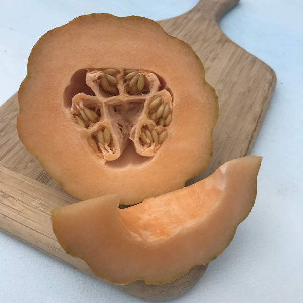 Minnesota Midget Melon