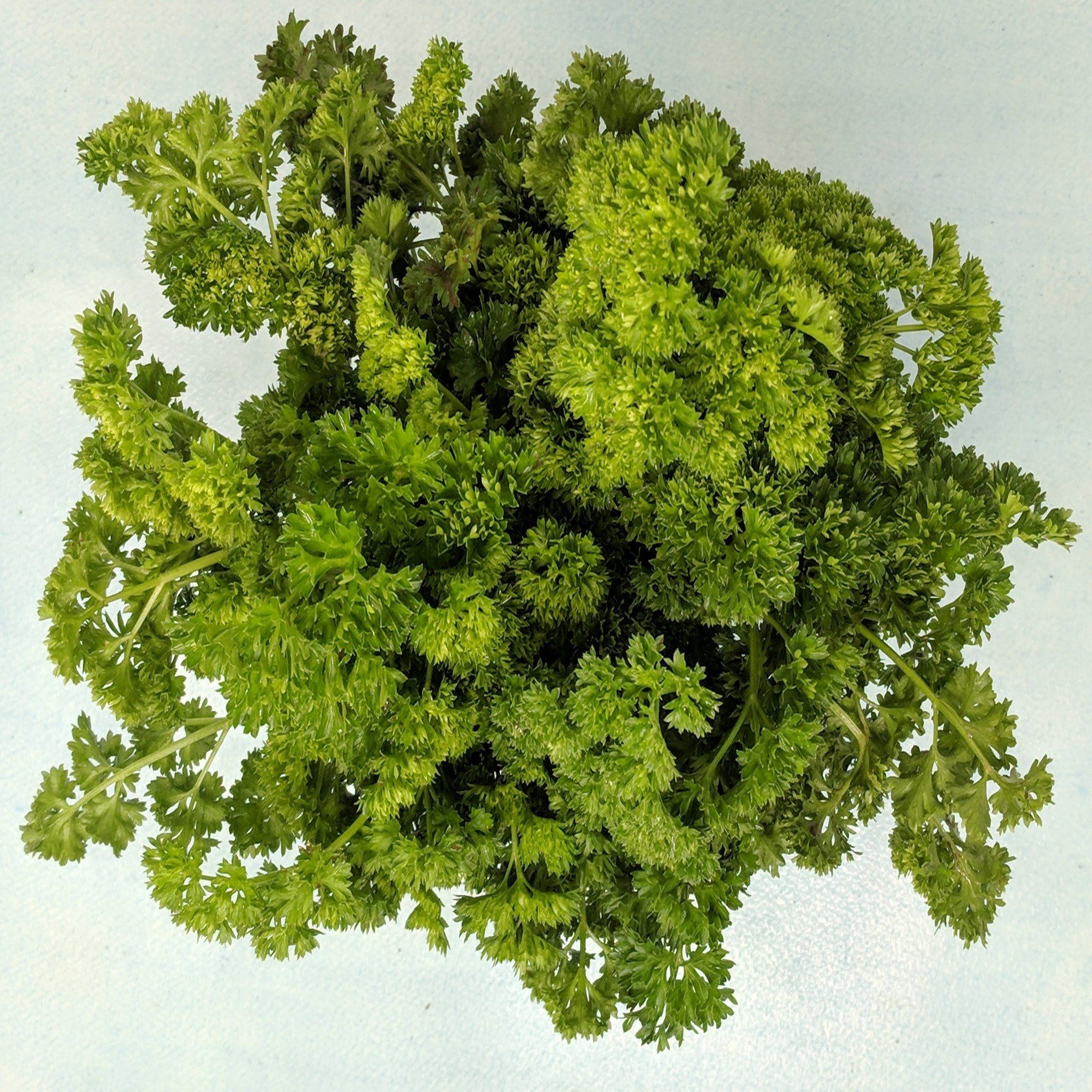 Moss Curled Parsley vendor-unknown