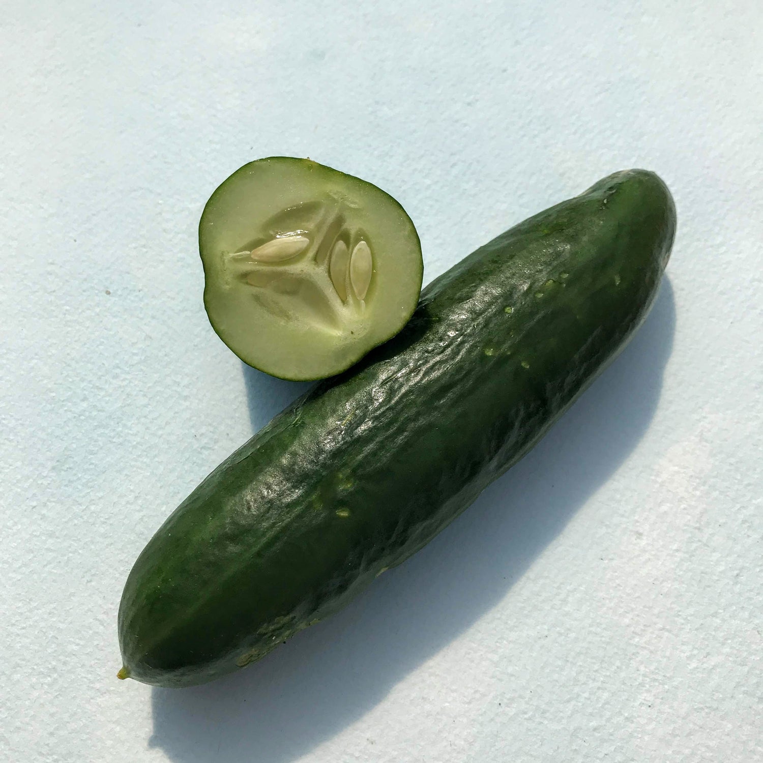 Muncher Cucumber