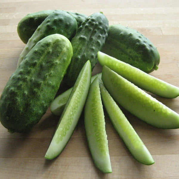 National Pickling Cucumber vendor-unknown