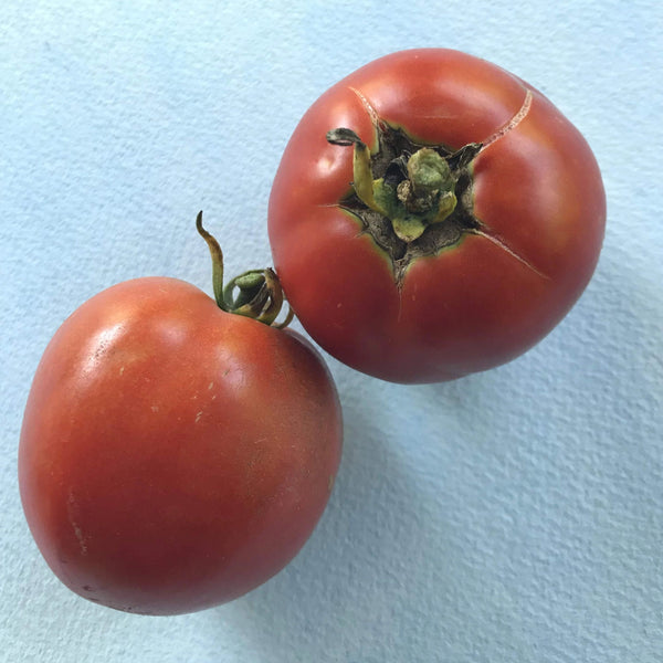 New Yorker Tomato vendor-unknown