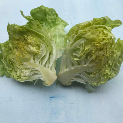 North Pole Lettuce vendor-unknown