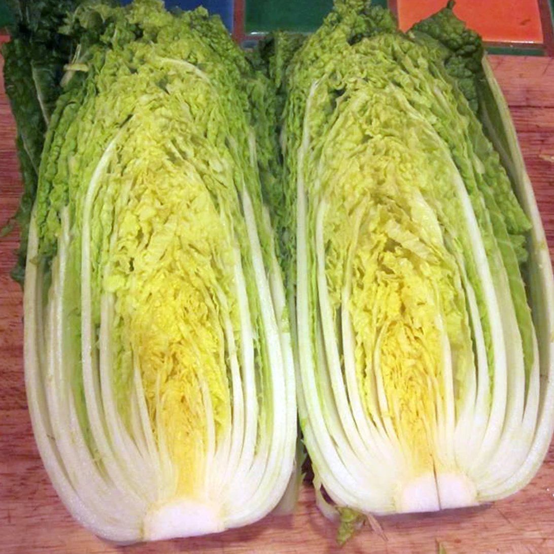 Nozaki Chinese Cabbage vendor-unknown