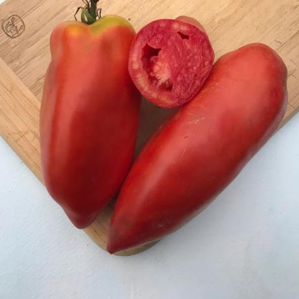 Opalka Tomato vendor-unknown