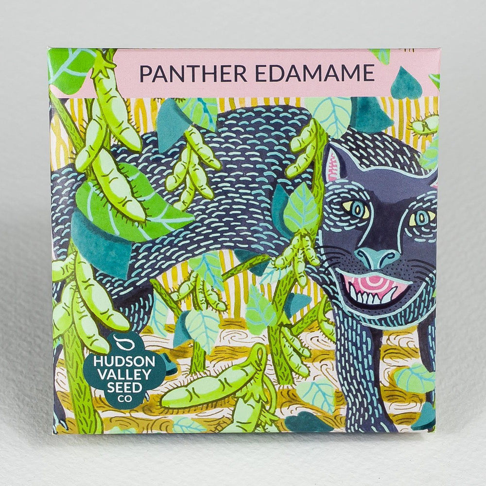 Panther Edamame Soybean vendor-unknown