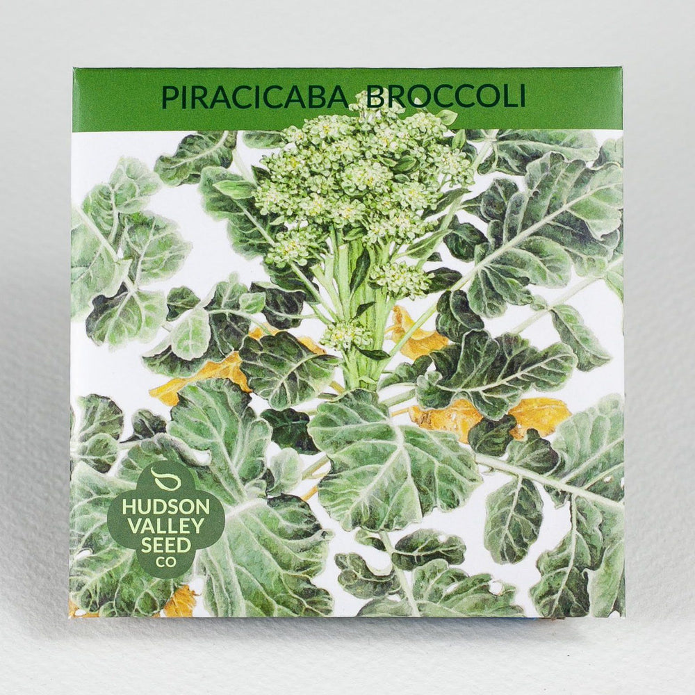 Piracicaba Broccoli vendor-unknown
