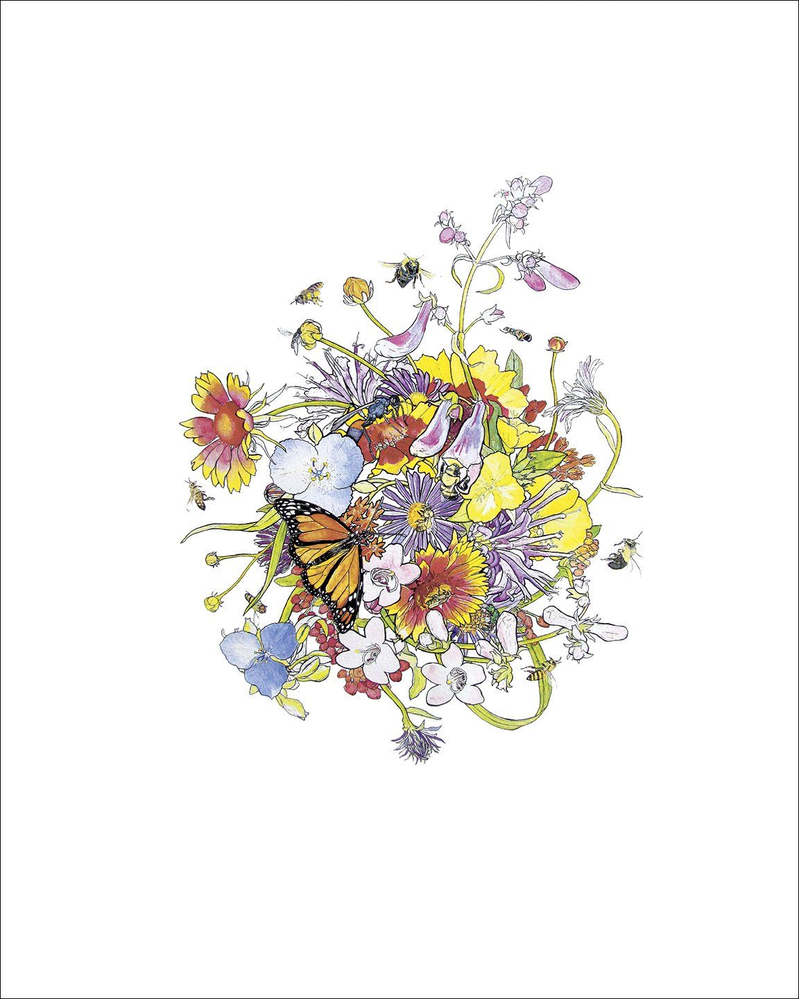 Pollinator Petal Patch Fine Art Print vendor-unknown