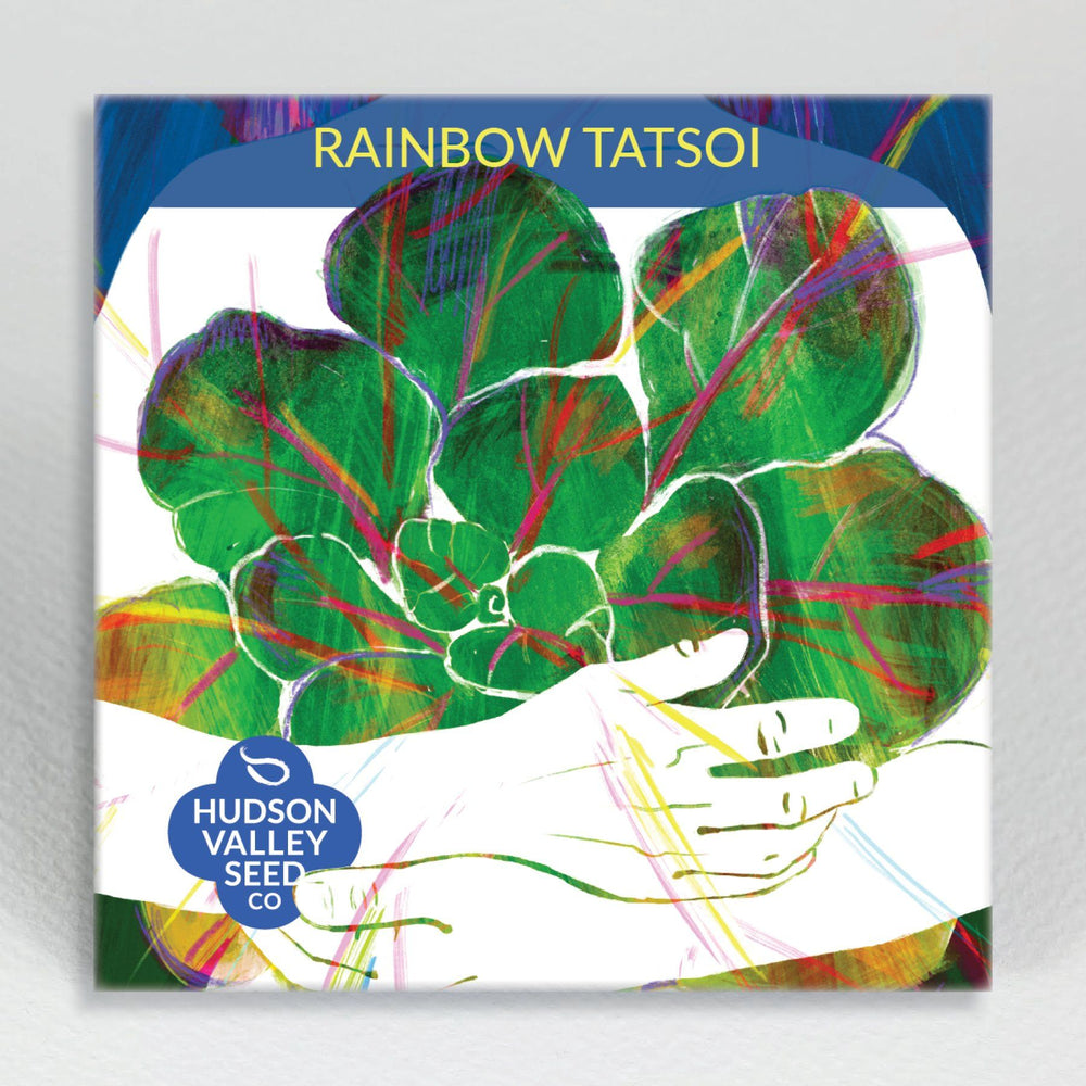 Rainbow Tatsoi