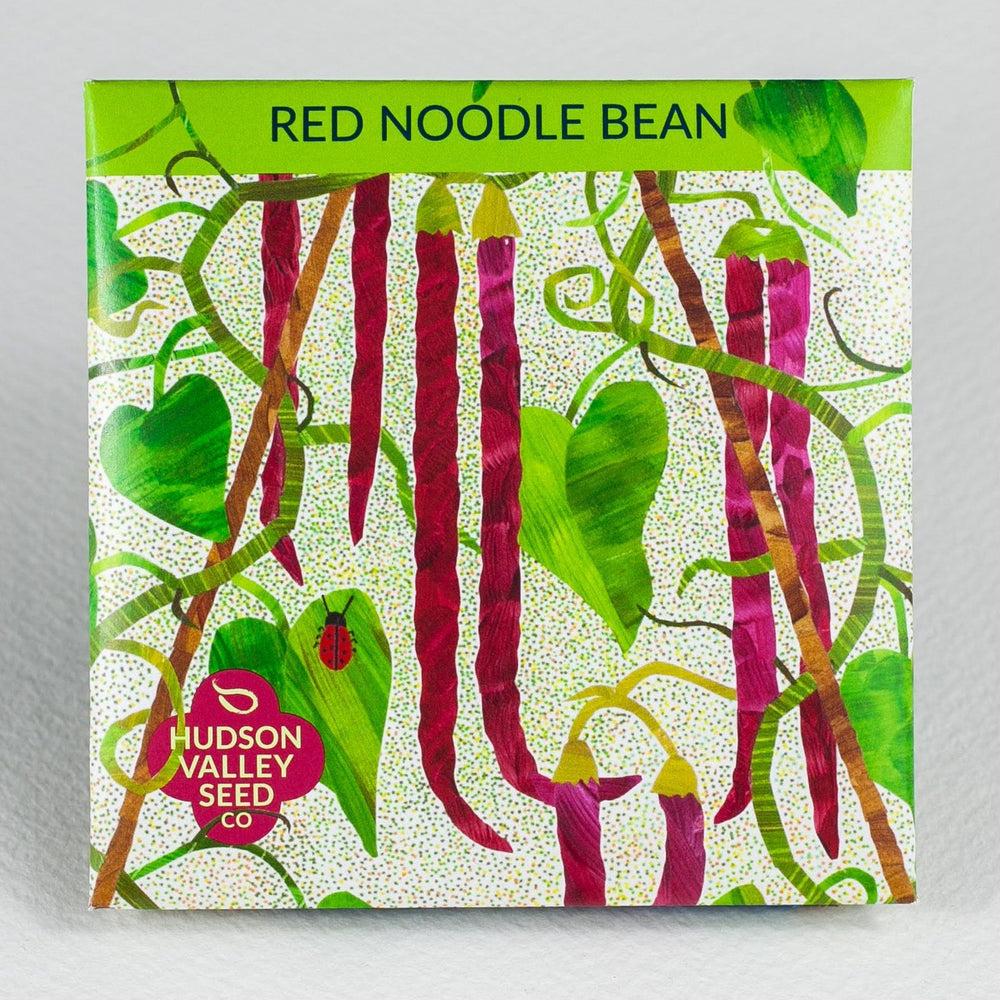 Red Noodle Bean vendor-unknown