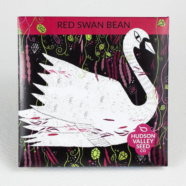 Red Swan Bush Bean vendor-unknown