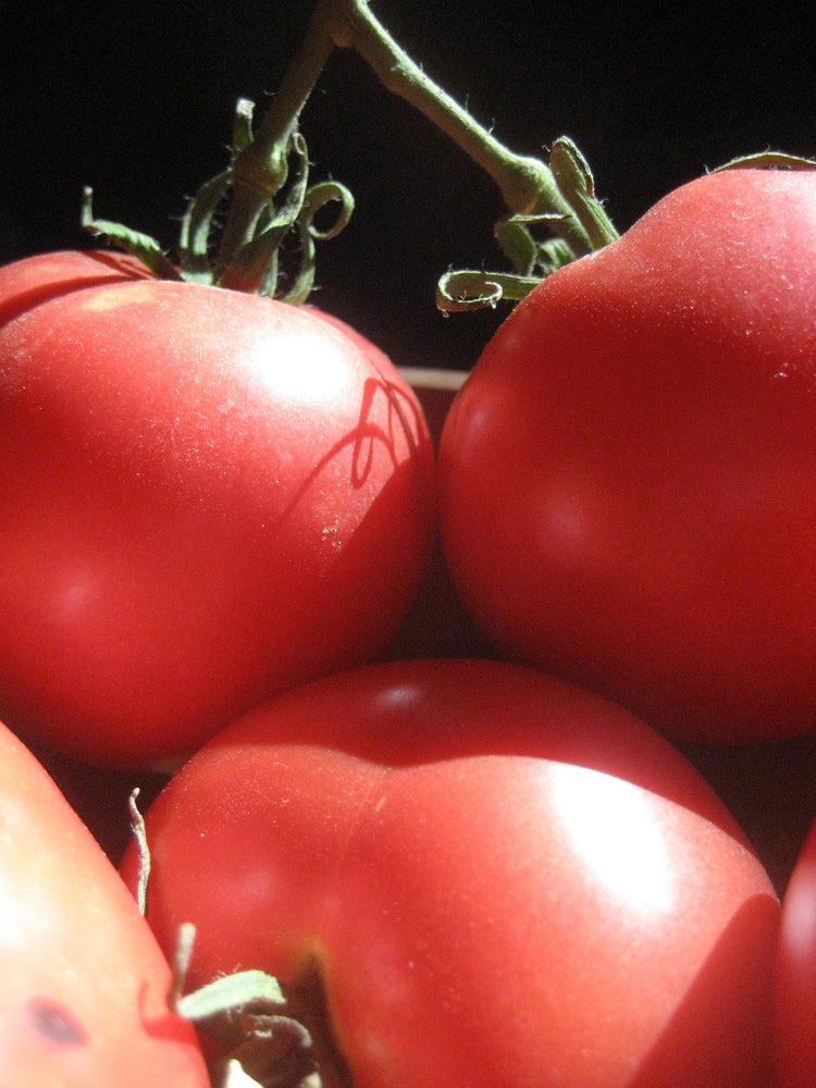 Rose de Berne Tomato vendor-unknown