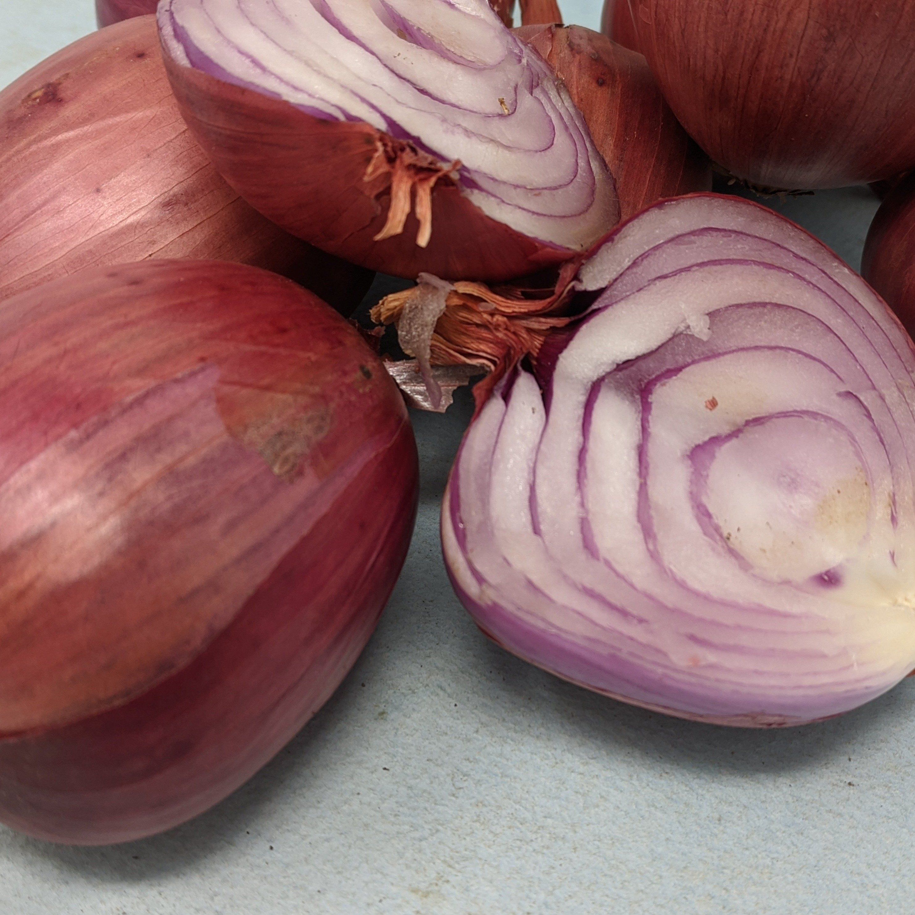 Rossa di Milano Onion vendor-unknown