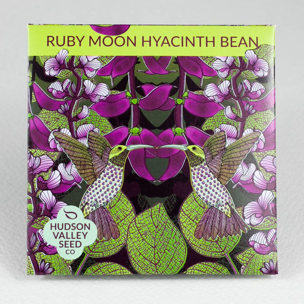 Ruby Moon Hyacinth Bean vendor-unknown
