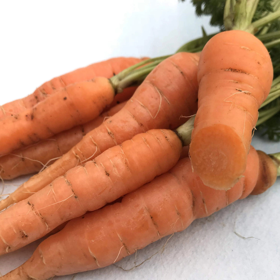 Scarlet Nantes Carrot vendor-unknown