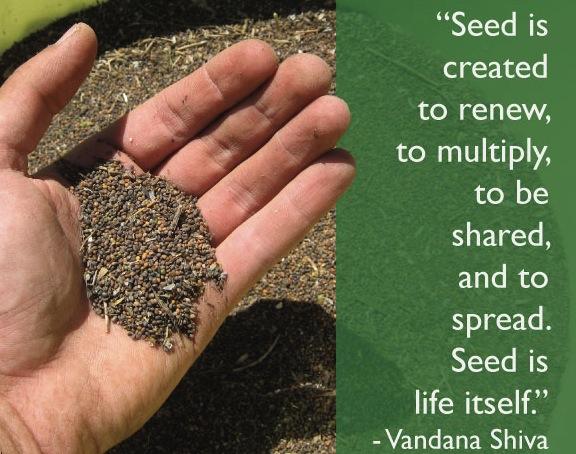 Sharing the Art of Seed Pack 2024