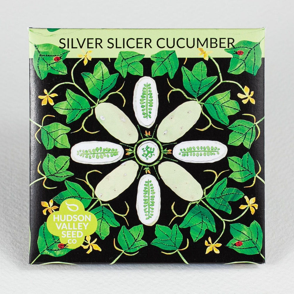 Silver Slicer Cucumber vendor-unknown