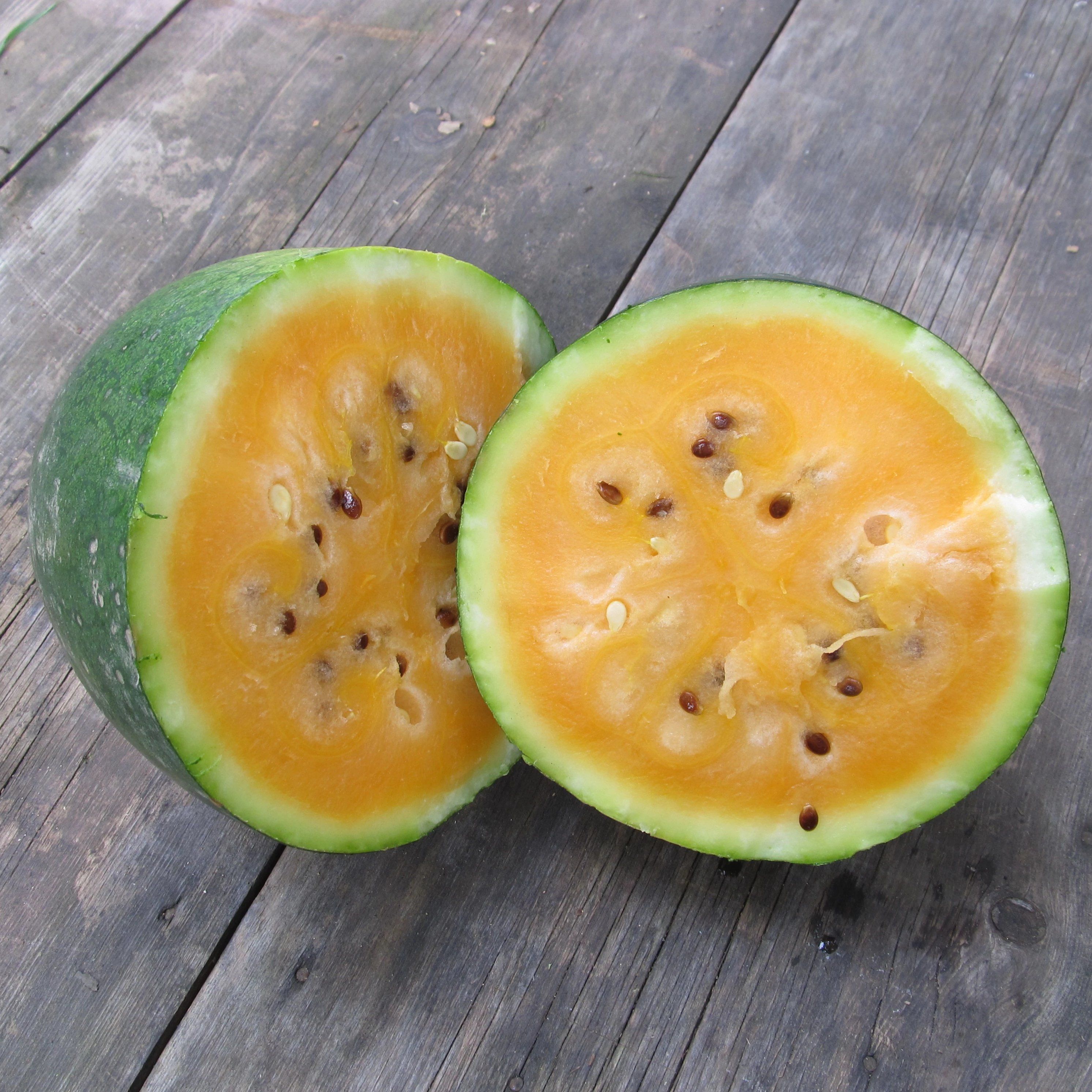 Sweet Siberian Watermelon vendor-unknown