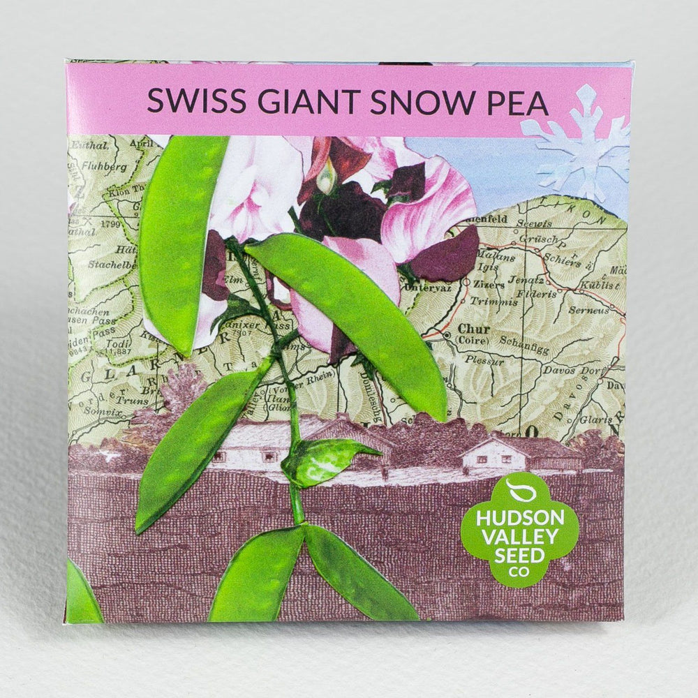 Swiss Giant Snow Pea vendor-unknown