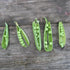 Tall Telephone Shelling Pea vendor-unknown